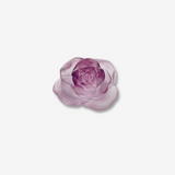 Pink Decorative Flower Rose Passion